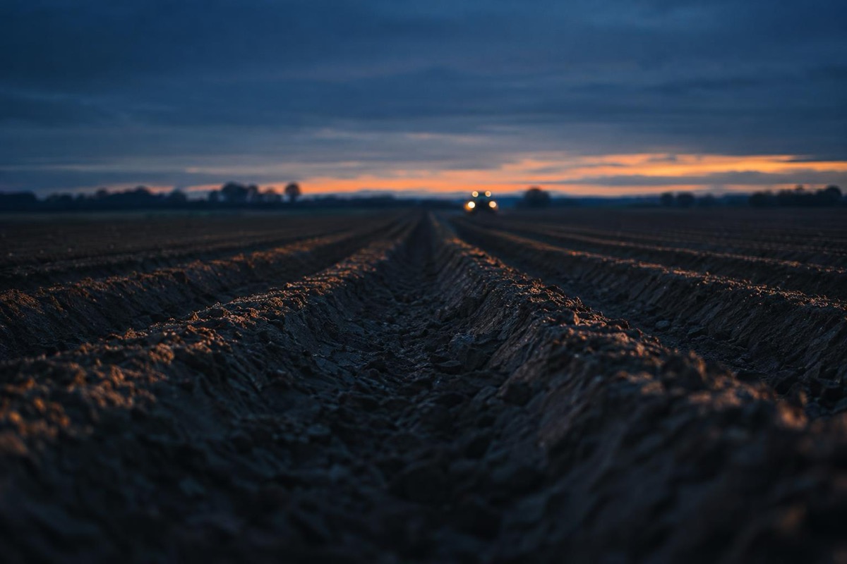 Fresh furrows running to the horizon at dusk, a tractor's lights still working at the far end